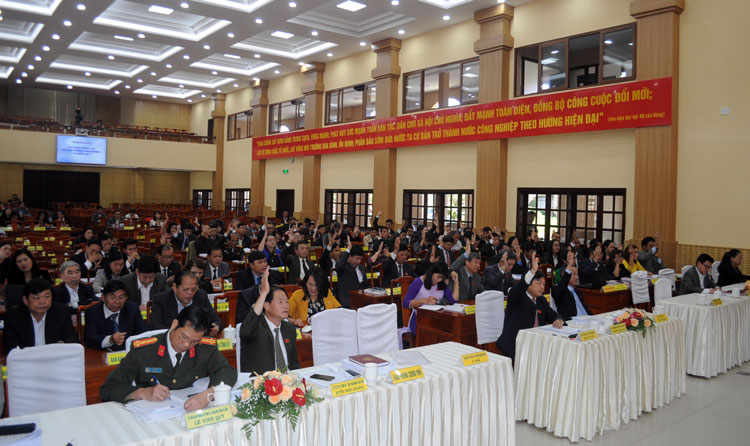 Các đại biểu, biểu quyết bầu bổ sung chức danh Ủy viên UBND tỉnh Khóa IX