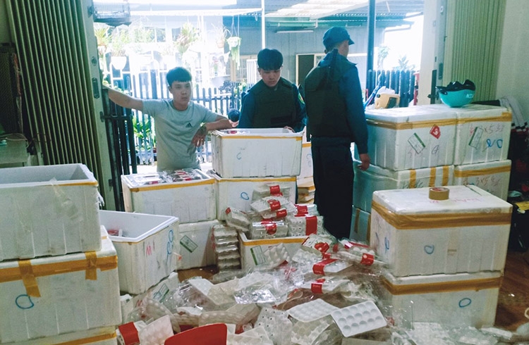Phát hiện hơn 370 kg dâu tây Trung Quốc sắp ra chợ Đà Lạt