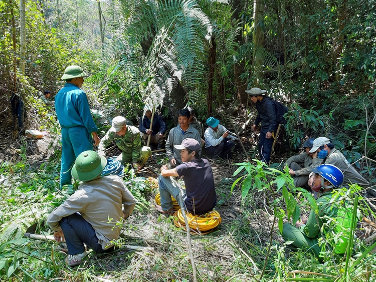 Đồng bào DTTS tham gia công tác quản lý, bảo vệ rừng
