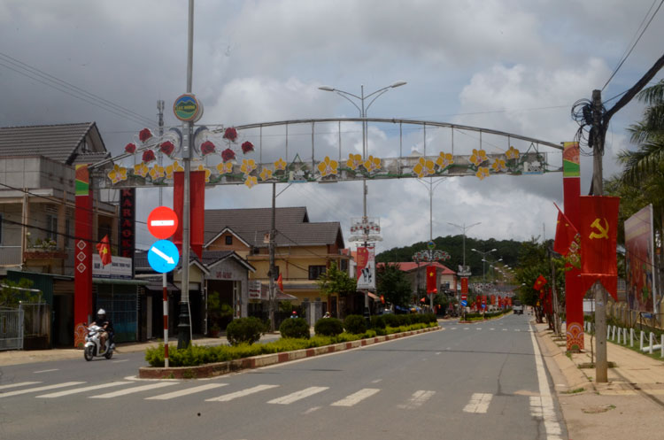 Hệ thống đèn hoa trang trí dọc tuyến đường LangBiang