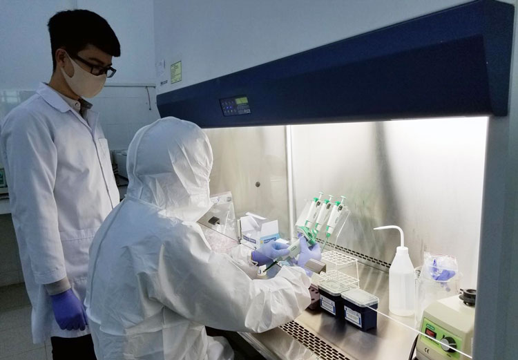 Toàn bộ 211 mẫu xét nghiệm PCR đều âm tính với SARS-CoV-2