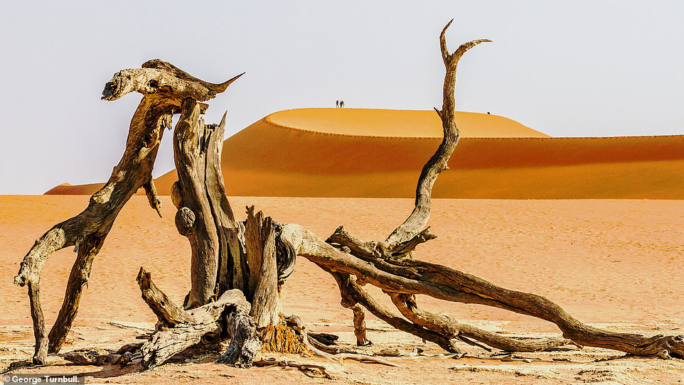 Nhiếp ảnh gia George Turnbull ghi lại hình ảnh đầy mê hoặc này tại Vườn quốc gia Namib-Naukluft ở Namibia. Bức ảnh thuộc hạng mục ảnh phong cảnh. Vườn quốc gia Namib-Naukluft có diện tích 49,768 km2, trải rộng trên một phần của sa mạc Namib và dãy núi Naukluft
