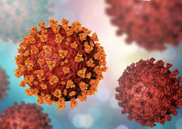 Phát hiện hợp chất có thể kiềm chế virus SARS-CoV-2 phát triển