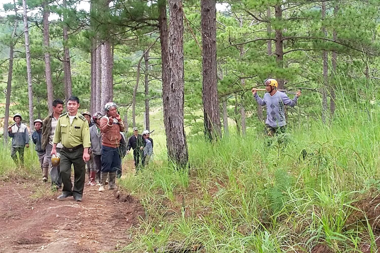 Các lực lượng tăng cường kiểm tra, kiểm soát diện tích rừng ở khu vực giáp ranh của xã Đạ Sar (Ảnh: Trạm QLBVR Đarahoa cung cấp)