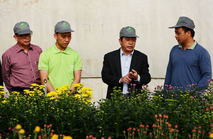 Chủ tịch UBND tỉnh Đoàn Văn Việt cùng lãnh đạo TP Đà Lạt thăm trang trại mô hình sản xuất rau, hoa tại xã Xuân Trường. Ảnh: Văn Báu