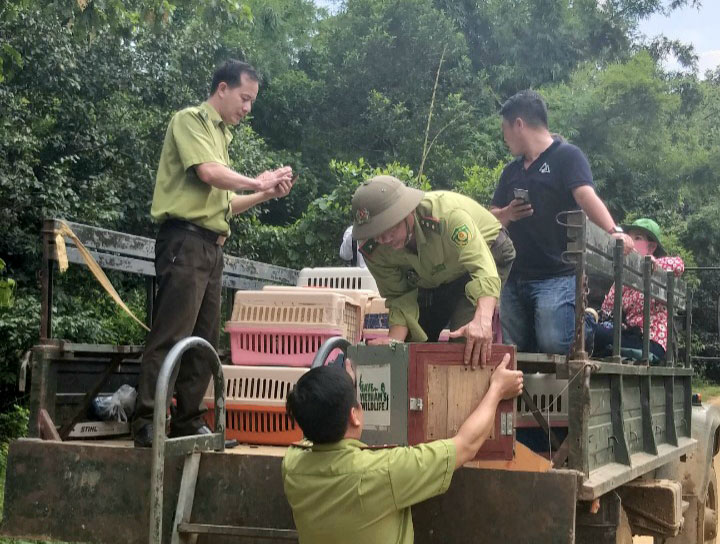 Lực lượng kiểm lâm vận chuyển 79 cá thể động vật hoang dã thả về Vườn Quốc Gia Cát Tiên