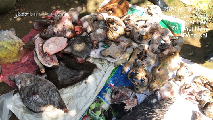 Số thịt, xương các loại động vật rừng thu giữ tại nhà ông Nguyễn Văn Thành