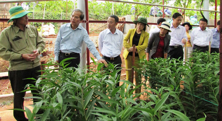 Đến đầu tháng 10/2020, toàn tỉnh Lâm Đồng phát triển 60.200 ha diện tích nông nghiệp công nghệ cao