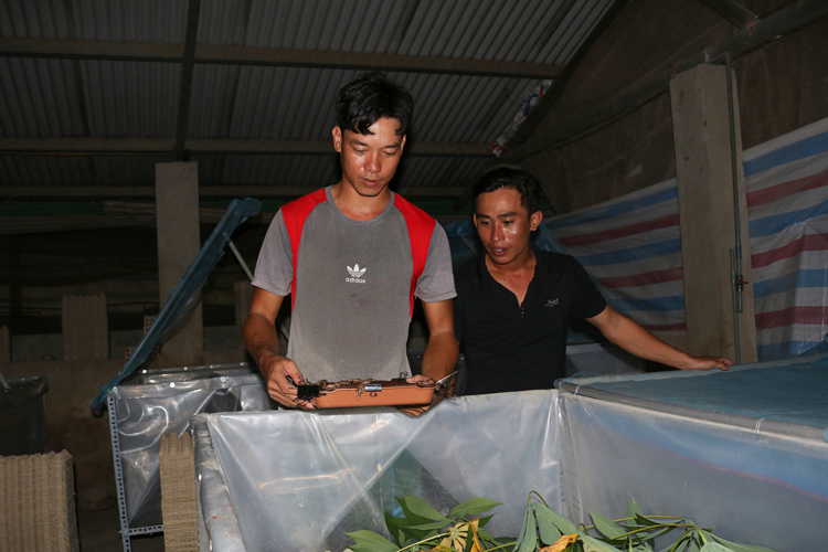 Mô hình VAC của anh Nguyễn Văn Hậu (bên trái) đạt hiệu quả kinh tế cao, mở ra hướng phát triển mới cho người dân nơi đây