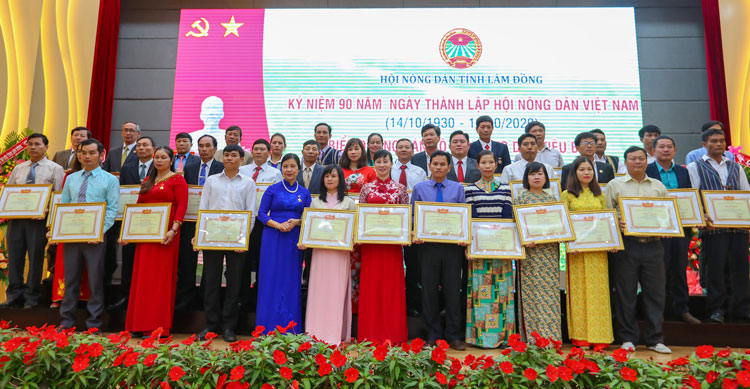 Ban Chấp hành Hội Nông dân tỉnh trao giấy khen cho 84 cán bộ chi Hội Nông dân cơ sở có thành tích xuất sắc trong hoạt động Hội và phong trào nông dân thời gian qua