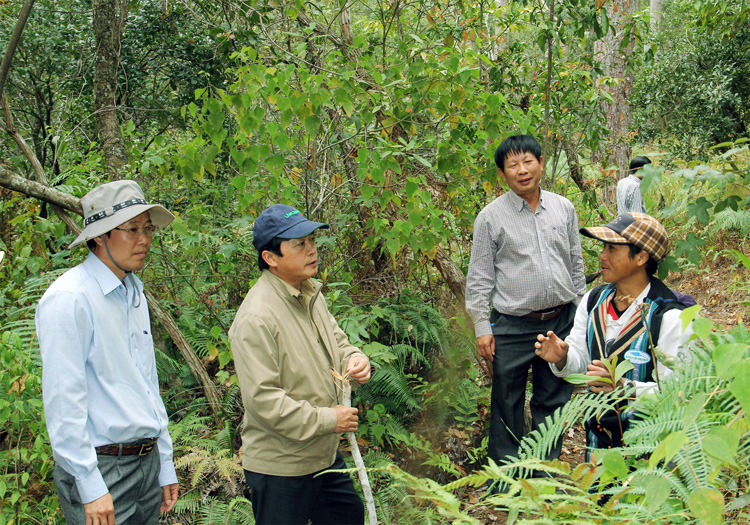 Vai trò lãnh đạo của Đảng trong công tác quản lý, bảo vệ và phát triển rừng