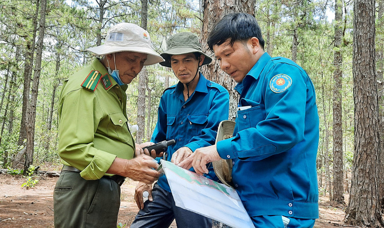 Kiểm lâm và chủ rừng Công ty Lâm nghiệp ở Di Linh tuần tra rừng