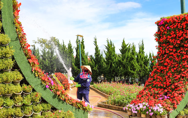 Trước giờ Đại hội khai mạc, công nhân công trình đô thị vẫn miệt mài chăm sóc các tiểu cảnh hoa quanh khu vực thành phố Đà Lạt