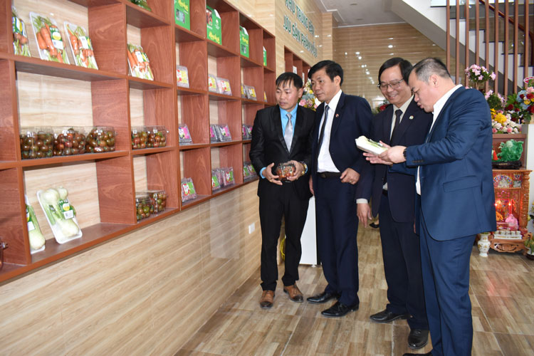 Lãnh đạo Liên minh HTX Trung ương, tỉnh Lâm Đồng và UBND thành phố Đà Lạt tham quan khu trưng bày sản phẩm rau VietGAP