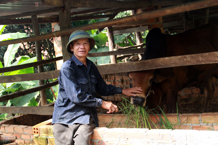 Ông Nông Văn Choóng bên mô hình chuồng mới nuôi trâu 