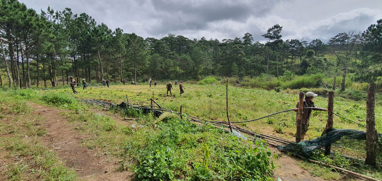 Đà Lạt: Cưỡng chế thu hồi 3.600m2 đất rừng phòng hộ