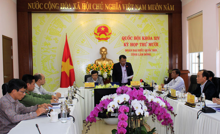 Các Đại biểu tham dự trực tuyến kỳ họp thứ 10, Quốc hội khóa XIV tại đầu cầu Lâm Đồng