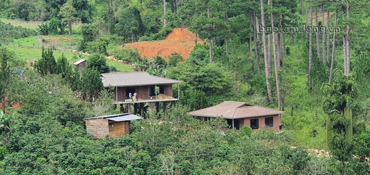 Hàng chục ngôi nhà làm không phép trên đất rừng