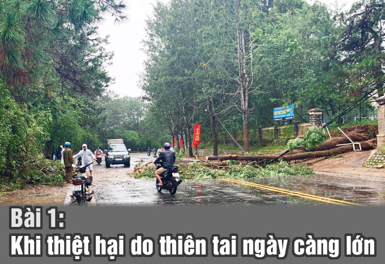 Thu dọn cây ngã đổ trên đường phố Đà Lạt trong mùa mưa bão