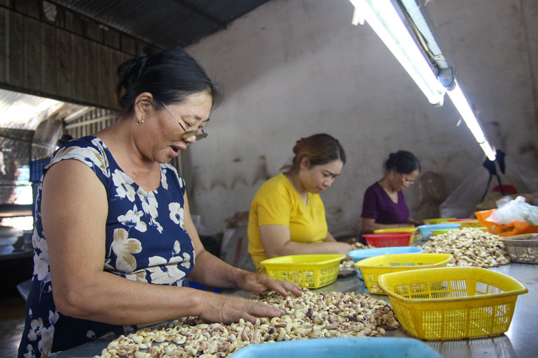 Với tinh thần chủ động, đời sống kinh tế của bà con giáo dân huyện Cát Tiên ngày càng có nhiều mô hình đem lại hiệu quả cao