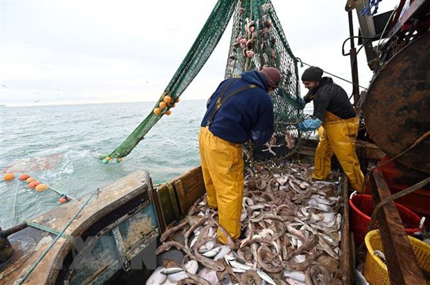 Ngư dân đánh bắt cá ở ngoài khơi bờ biển phía Đông Nam Anh