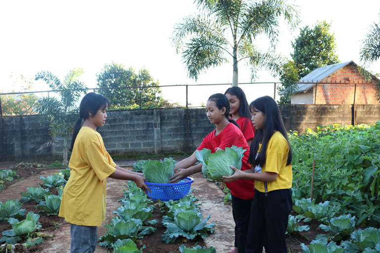 Trước khi trồng rau, học sinh được thầy cô hướng dẫn cách làm đất, bón phân cho cây. Chăm chỉ tưới tắm, chăm sóc, bình quân mỗi tháng, số rau thu được của các lớp có thể đến 300 - 400 kg rau các loại.