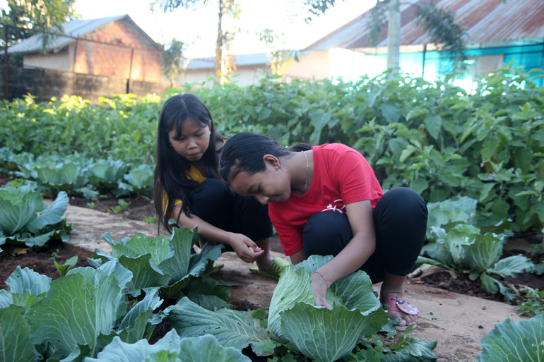 Trước khi trồng rau, học sinh được thầy cô hướng dẫn cách làm đất, bón phân cho cây. Chăm chỉ tưới tắm, chăm sóc, bình quân mỗi tháng, số rau thu được của các lớp có thể đến 300 - 400 kg rau các loại.