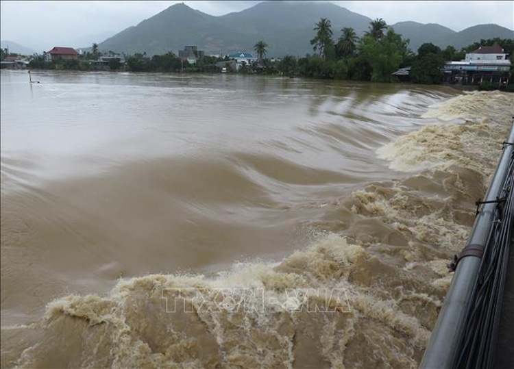 Nước lũ đổ về sông Cái (Khánh Hòa) vào ngày 30/11. 