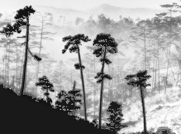 Núi đồi mờ sương. Ảnh: Nguyễn Bá Mậu
