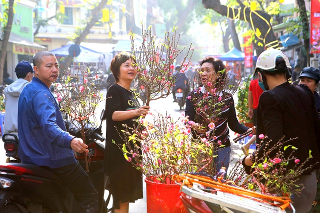 Chợ hoa truyền thống Hàng Lược (Hà Nội) ngày giáp Tết 