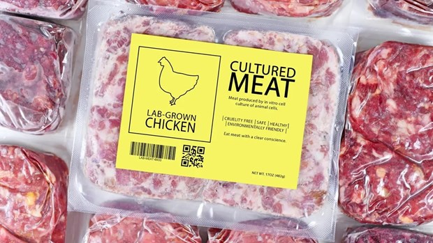 Thịt nuôi cấy trong phòng thí nghiệm chuẩn bị ra mắt tại Singapore