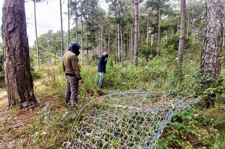 Lực lượng chức năng cưỡng chế giải tỏa hàng trào lưới B40, 119 trụ bê tông bao quanh diện tích 1,08 ha đất rừng