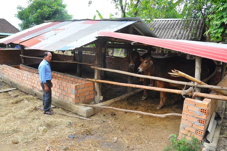 Đạ Tẻh: Thay đổi tập quán chăn nuôi của cộng đồng người Tày - Nùng