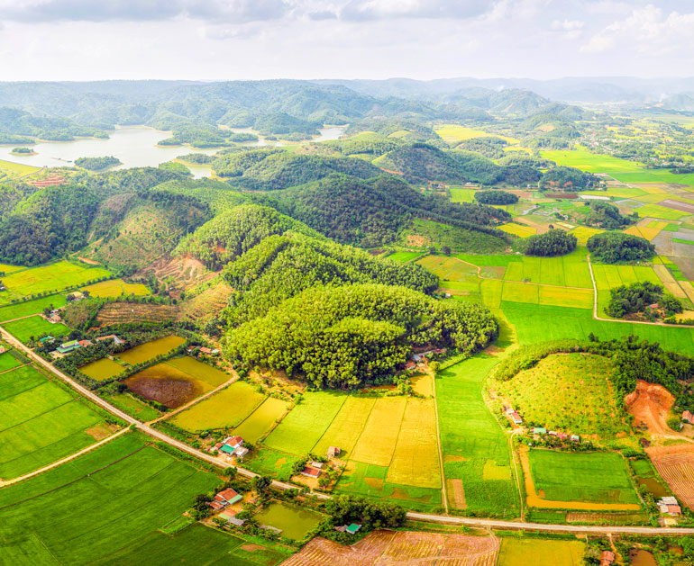 Xã nông thôn một thời nghèo khó ở huyện Cát Tiên ngày nào nay trở nên trù phú với những cánh đồng lúa chất lượng cao đã được định danh và có thương hiệu rộng ngút ngàn