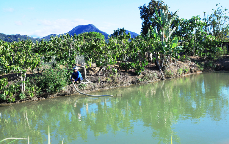 Để chủ động nguồn nước tưới cây trồng trong mùa khô, người dân trên địa bàn huyện Đam Rông đã chủ động đào hơn 2.000 ao, hồ nhỏ.