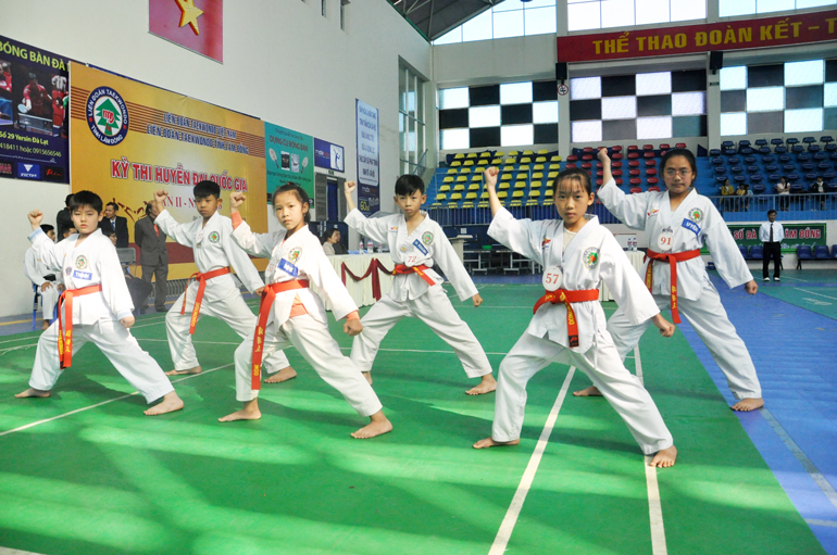 Các môn sinh Taekwondo trong một kỳ thi lên đẳng.