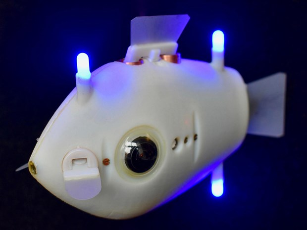 Cá robot - Phương tiện mới cho hoạt động cứu hộ trên biển