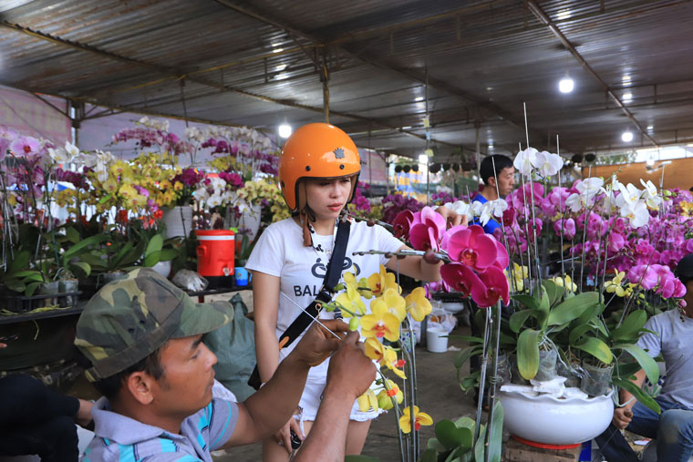 Thông báo đăng ký Hội hoa xuân Tân Sửu 2021 tại đường Nguyễn Công Trứ nối dài và vỉa hè xung quanh chợ mới Bảo Lộc