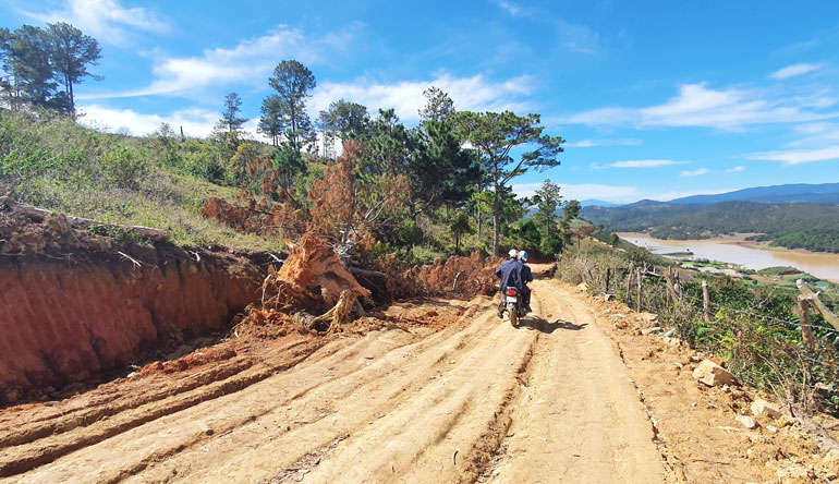 Tập trung điều tra các vụ phá rừng, san ủi đất rừng tại Lạc Dương