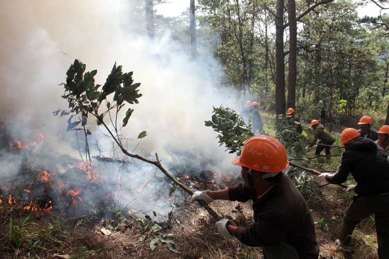Lực lượng tại chỗ chữa cháy bằng cách dùng cành cây dập lửa