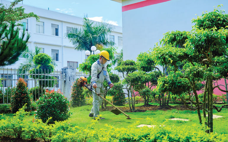 Công nhân chăm sóc vườn hoa, cây xanh trong Nhà máy Alumina