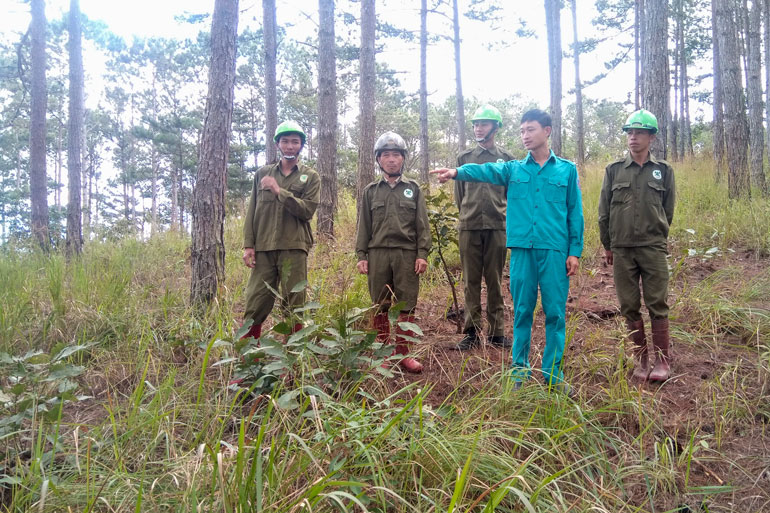 Cán bộ Trạm quản lý bảo vệ rừng xã Xuân Trường, TP Đà Lạt cùng các hộ nhận khoán tăng cường trực tuần tra bảo vệ rừng, PCCCR dịp trước Tết Tân Sửu 2021