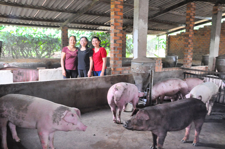 Các thành viên trong tổ hợp tác nuôi heo sạch tại Thôn 4, xã Quảng Trị đang chia sẻ kinh nghiệm