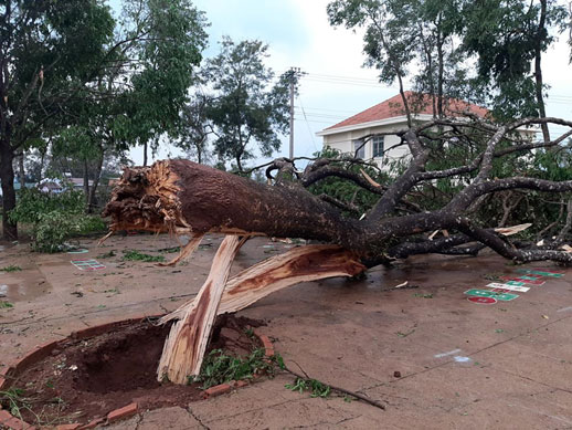 Xã Tân Thượng lại thiệt hại nặng do mưa lớn kèm lốc xoáy