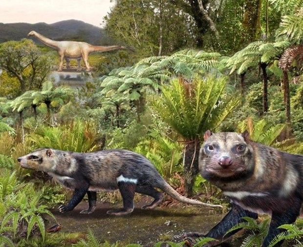 Chile: Phát hiện hóa thạch động vật có vú cách đây 72 triệu năm