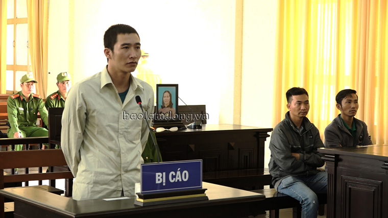 Bị cáo Nguyễn Quang Thoại tại tòa
