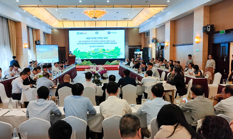 Dự án Rừng và Đồng bằng Việt Nam góp phần tạo sinh kế cho người dân
