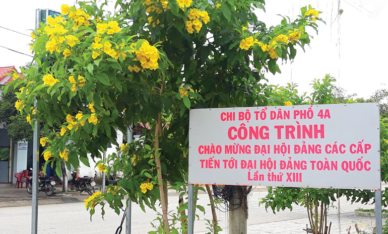 Hàng cây hoa Hoàng Yến khoe sắc vàng dọc các tuyến đường Tổ dân phố 4A, thị trấn Đạ Tẻh