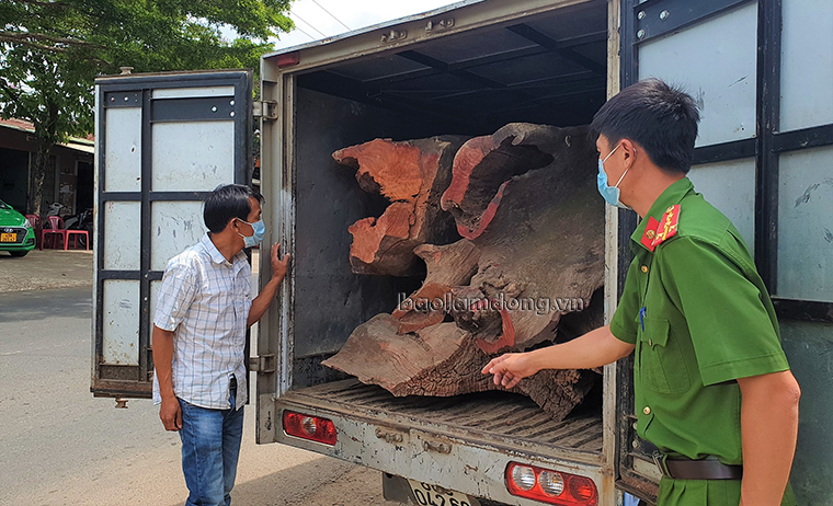 Ông Dương Văn Thanh (áo trắng) cùng chiếc xe tải chở gần 1,4 tấn gỗ Hương huyết quý hiện bị cơ quan công an phát hiện bắt giữ