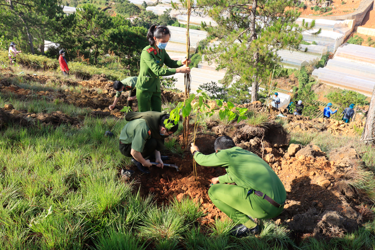 Cán bộ, chiến sỹ công an TP Đà Lạt tham gia trồng cây xanh cho TP Đà Lạt  